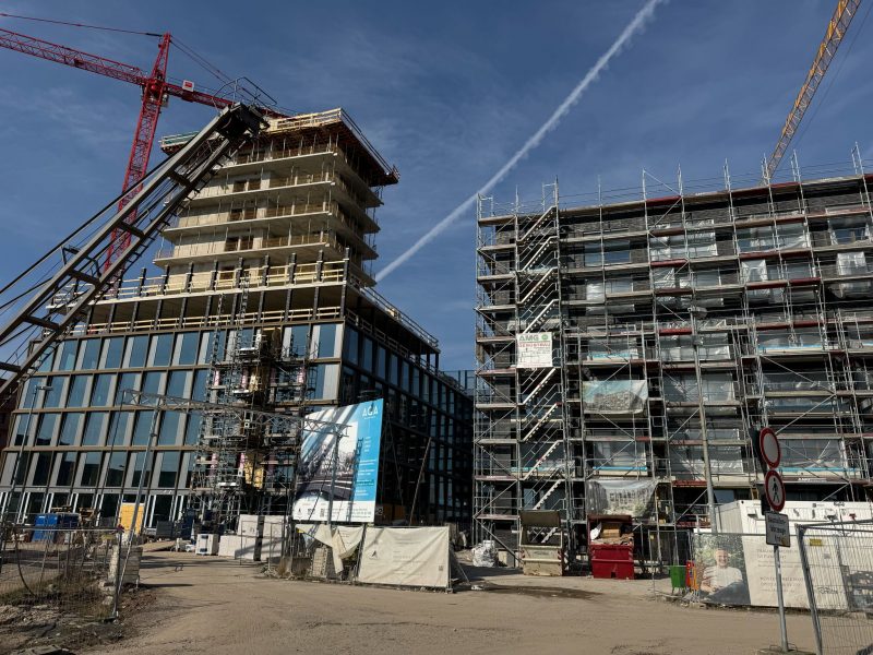 Rheinwiesen II in Mainz
